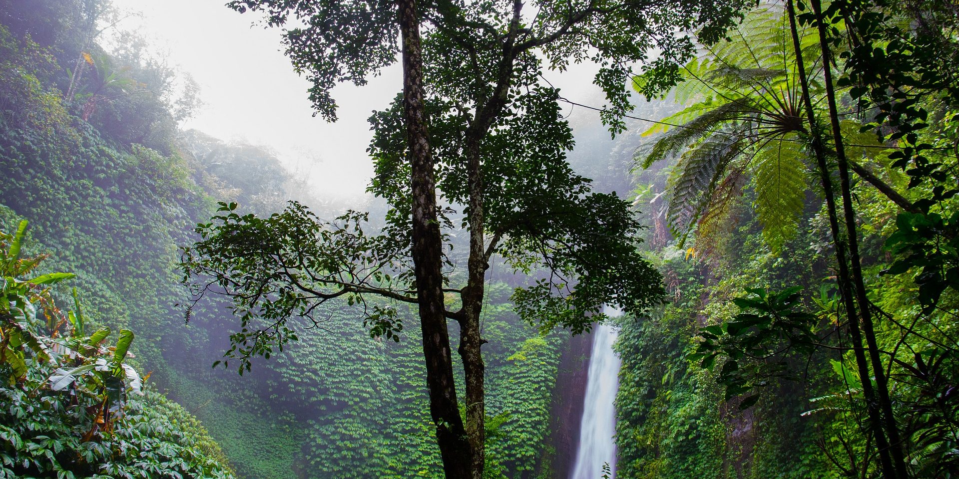 waterfall-384663_1920