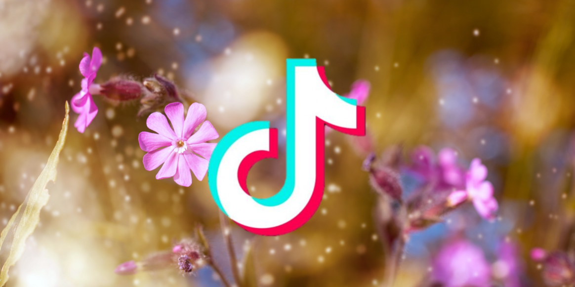 TikTok for the planet - GlobalGoodness