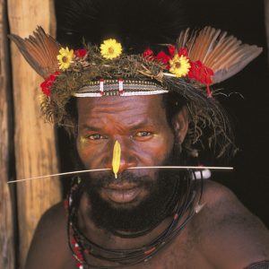 chef de tribu