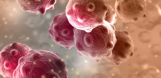 Screenshot 2023-04-20 11.18.36